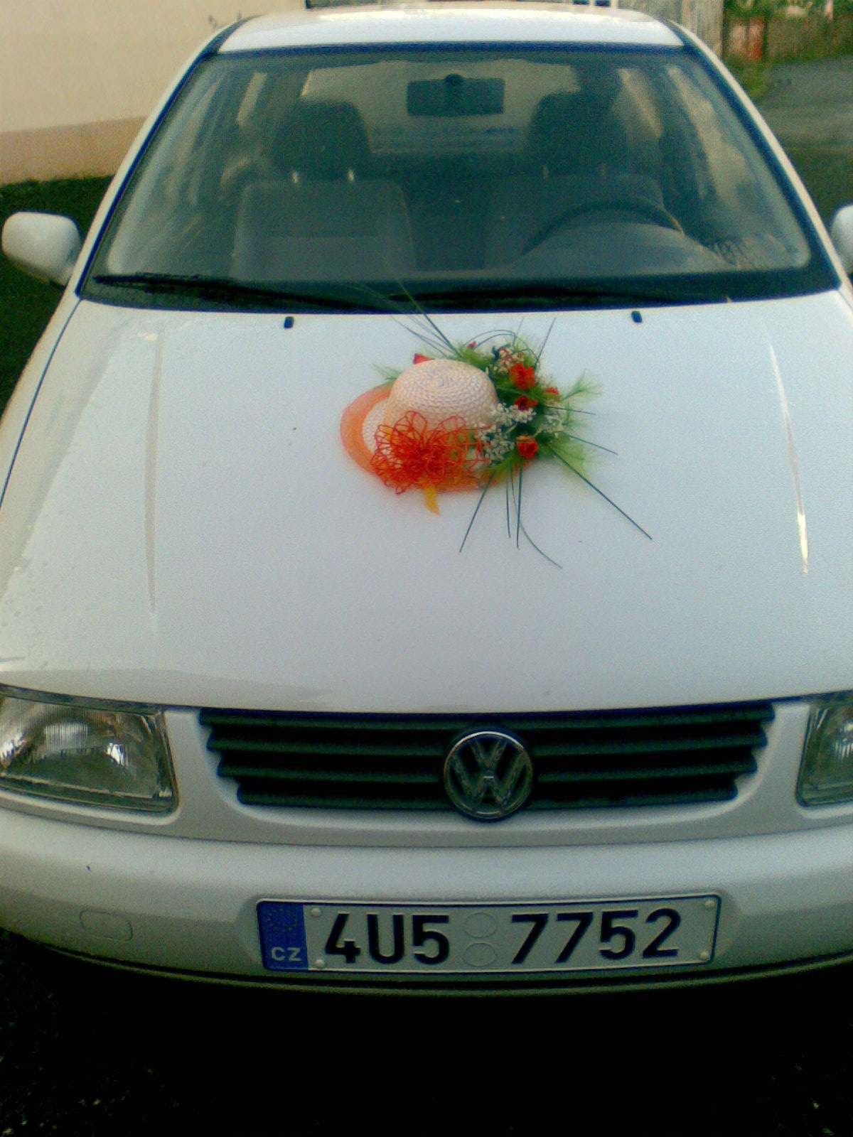 Auta01 (3)